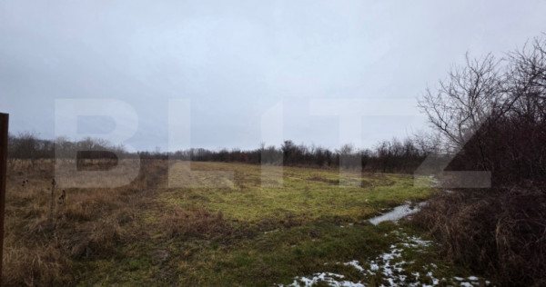 Teren deschidere la drum, 4172 mp &ndash; Frasin Deal, l&acirc;ngă p