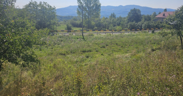 V&acirc;nd loturi intravilane!