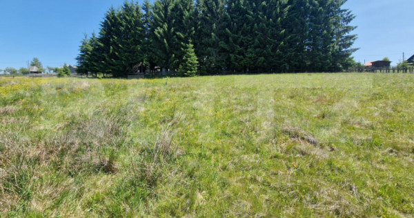 Teren extravilan, 5800 mp, Marisel