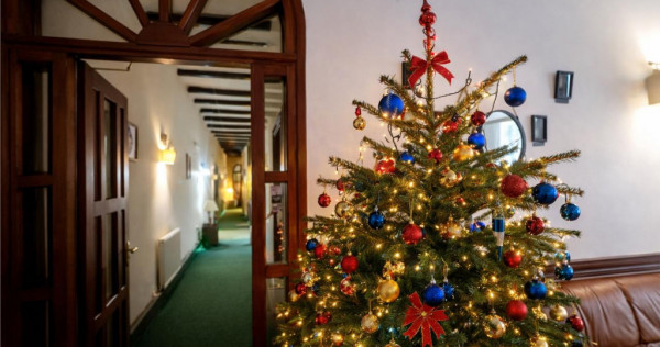 Preluare afacere pensiune administrare in regim turistic, Ce