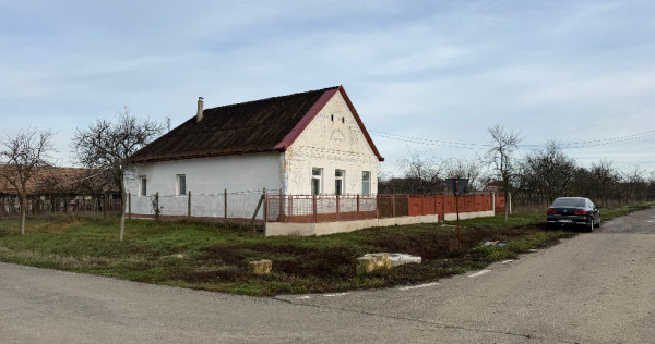 Casa &icirc;n Firiteaz, 24 km de Arad, 2787 mp