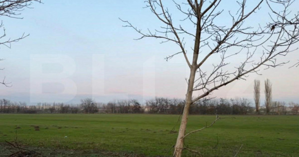 Teren, 594 mp, dubla deschidere, zona Braniste