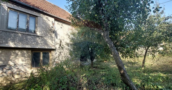 Casă individuala cu teren generos