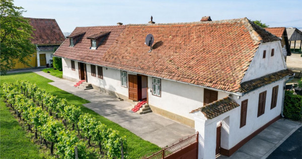 De sau schimb cu garsoniera Brasov. Casa autentica cu sura,