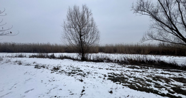 Teren 887 mp cu ieșire la Lacul Snagov | Proprietate rară