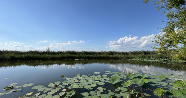Teren 887mp Snagov | utilitati la gard | autorizatie ponton