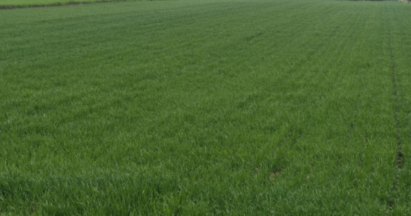 Teren 6000mp, 30 ml deschidere la DN 2H, Horodnic de Jos, Ra