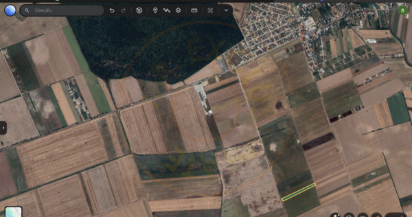 Teren in comuna Dascălu