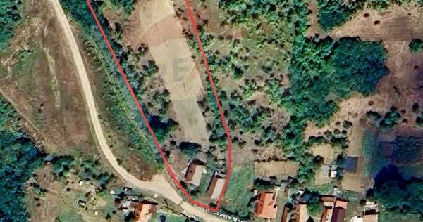 Casa cu 2 camere si teren 4887mp de vanzare in Dabaca