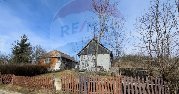 Casa cu 2 camere si teren 4887mp de vanzare in Dabaca