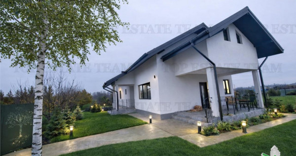 For Sale Casa Vlasiei/Livada si curte generoasa