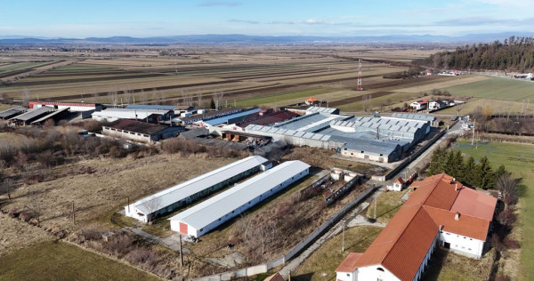 Teren intravilan 1.729 mp + hală parțial demolată | Te...