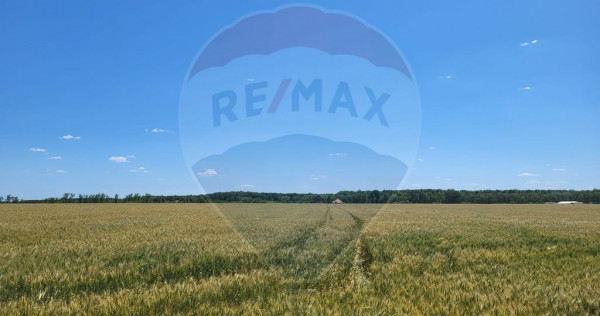 Teren intravilan 30,000mp Corbeanca P+1+E2