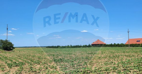 Teren intravilan 5,000 mp Peris IF