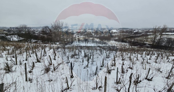 Teren intravilan 7000 mp Simnic, Izvor