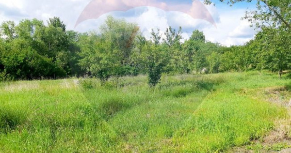 Teren intravilan 6850 mp Simnic, Izvor