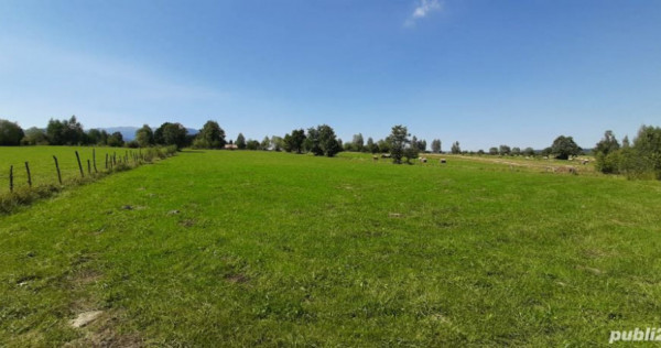 Teren 9350 mp Bran Livada, Extravilan