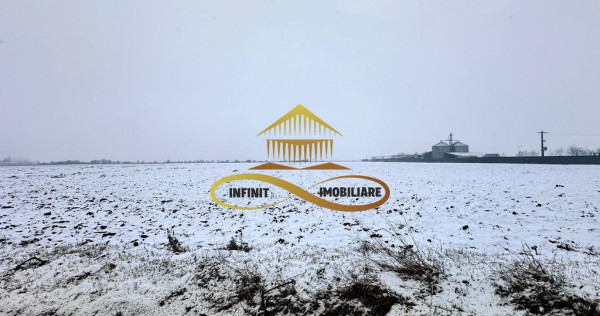 Teren de vanzare Schineni Saucesti