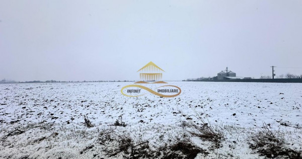 Teren de vanzare Schineni Saucesti