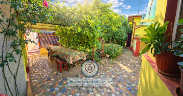 Central, Stadion, Ploiești - casa + garaj + beci + 217 mp teren