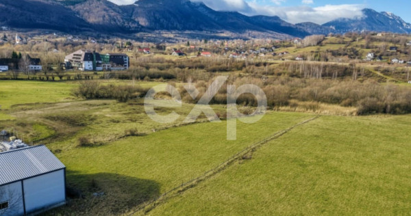 Teren intravilan 4.059 mp &ndash; zona Bran | Potențial reziden