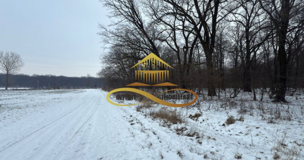 Teren extravilan - Padure de vanzare in Beresti Bistrita