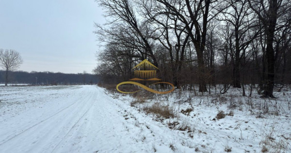 Teren extravilan - Padure de vanzare in Beresti Bistrita