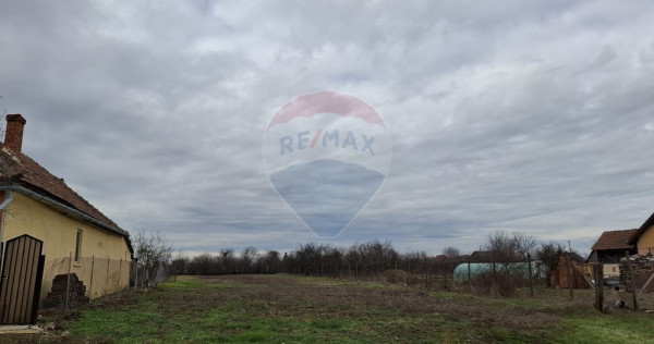 Teren intravilan 1,241mp Frumușeni, Arad