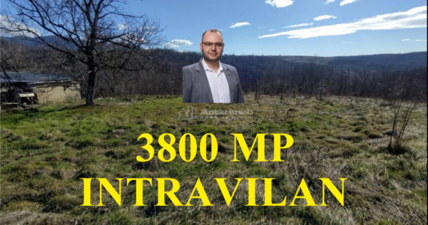 Oravita, Teren Intravilan, 3,8 Euro MP, In Oras, Usor Negoc