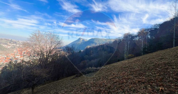 Teren Colinar Panoramic &ndash; 17.684 mp &icirc;n Scheii Brașovului