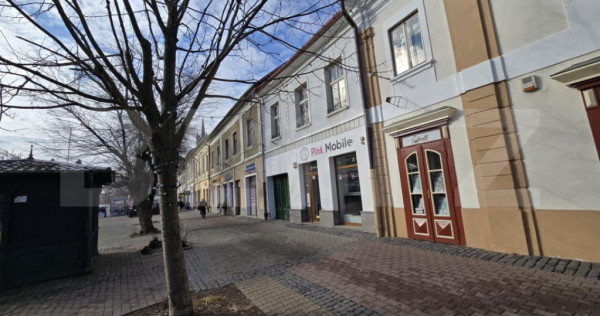 Spatiu &icirc;n centru istoric al Bistriței