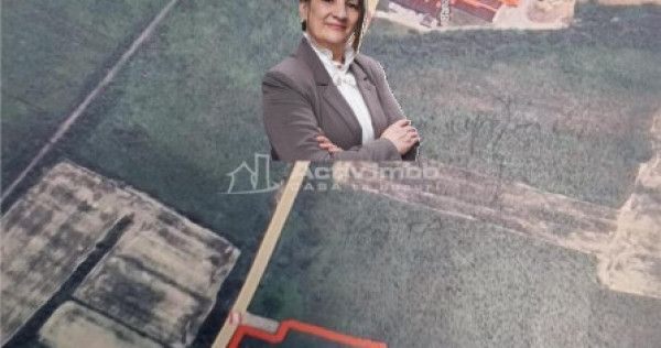 Bocsa 2 terenuri INTRAV. 1500 Mp(15 900 Euro) si 3000 Mp.(30