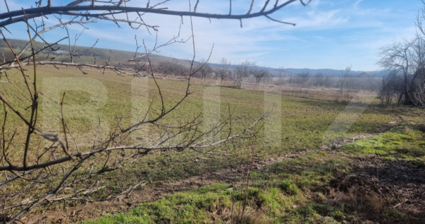 TEREN EXTRAVILAN AGRICOL