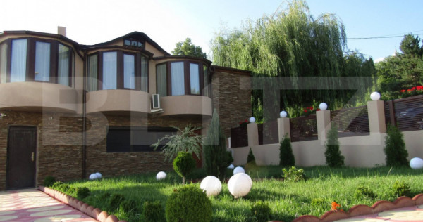 Centru Comercial, 293 mp, Aleea Mănăstirea Dealu