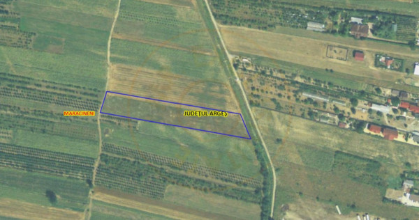 Teren intravilan 7.545 mp &icirc;n Mărăcineni &ndash; ideal reziden
