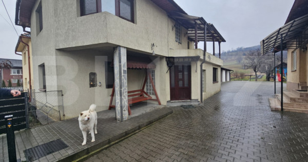 2 Case deosebite de vanzare - Zona Rebrisoara