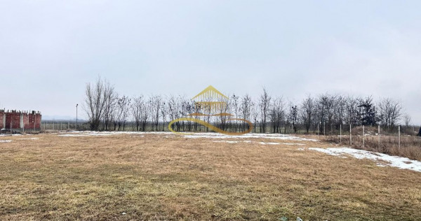 Teren de vanzare Siretu Saucesti Bacau