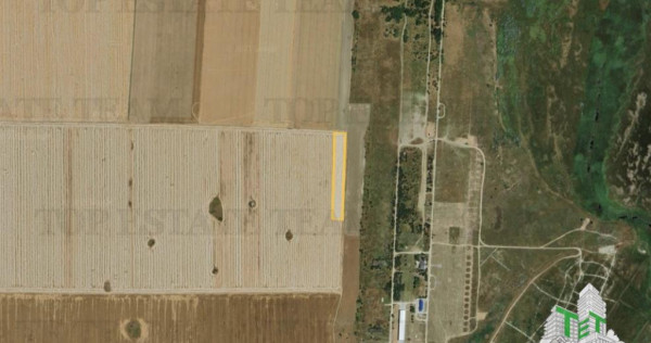 Teren extravilan 5000 mp Corbu, cu deschidere pe 3 laturi