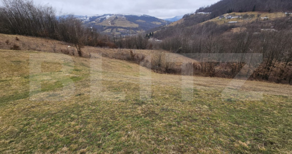 Teren extravilan de 13139 mp &ndash; Abrud