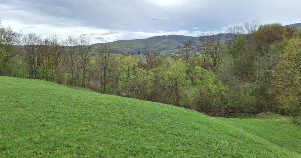 Teren extravilan- Sinca Noua, Brasov, 12500mp