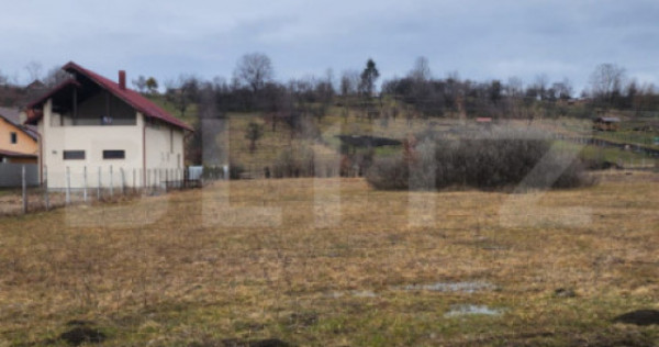 Teren intravilan,comuna Livezile,ocazie buna de investitie!