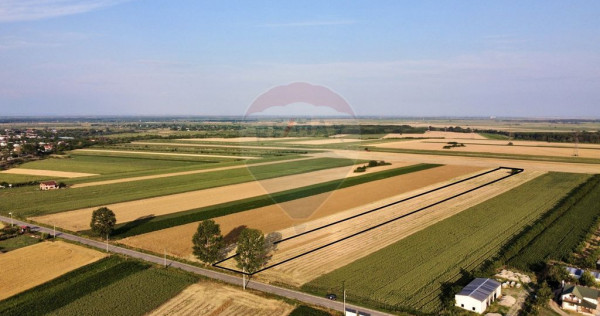 Teren 7,830mp Vanatori / Strada DJ204E