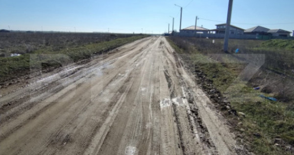 Lot 5 parcele intravilan, Metro, 7439 mp, acces la utilitati