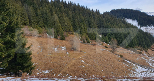 Teren cu potențial investițional major &ndash; Fundata, vecin?