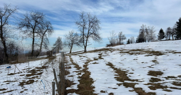 Teren intravilan zona Sohodol, Bran