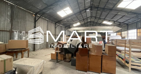 Spatiu industrial depozitare/productie 280mp Industrial Vest