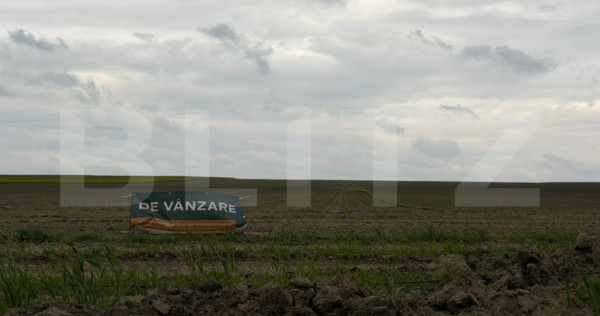 Teren extravilan, 7891 mp, front 25 ml, zona Salcea