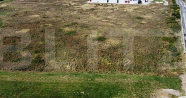 Teren intravilan Remetea Mare