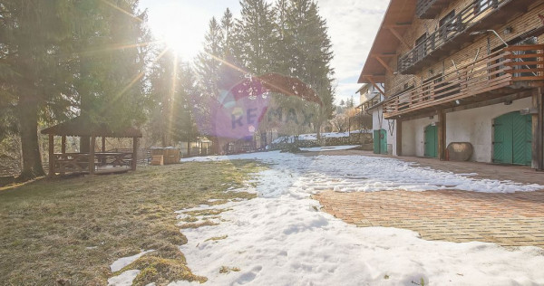 Vilă istorică, proiectată de arhitectul Emil Nădejde ...