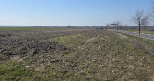 Teren intravilan, 5000 mp, deschidere 409 ml, utilitati, zon